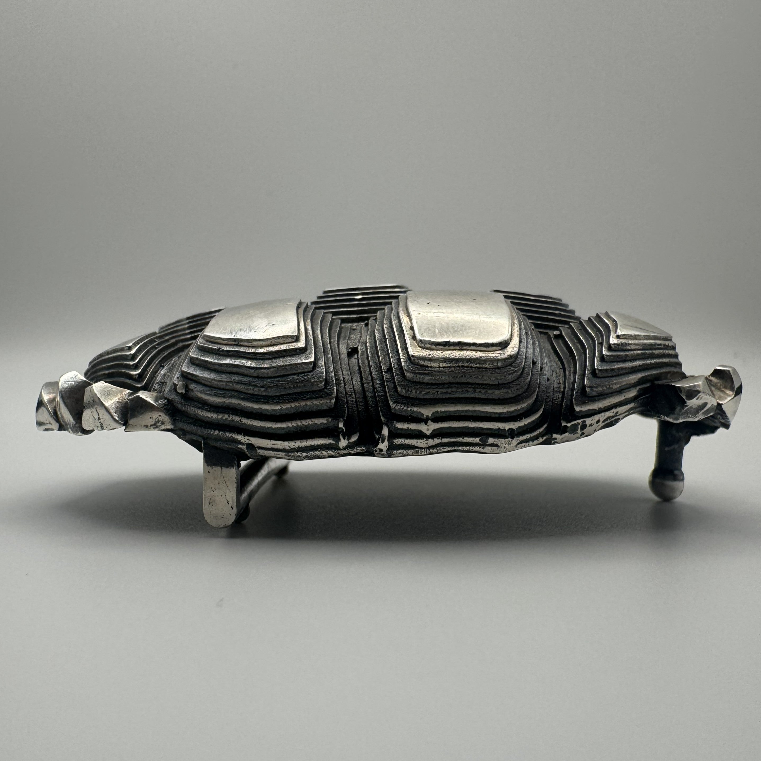 Tortoise Shell Belt Buckle